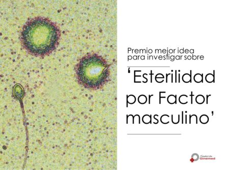 Cartel premio mejor idea para investigar sobre esterilidad por factor masculino