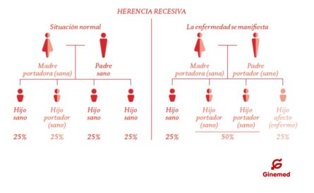 Infografía genética ginemed