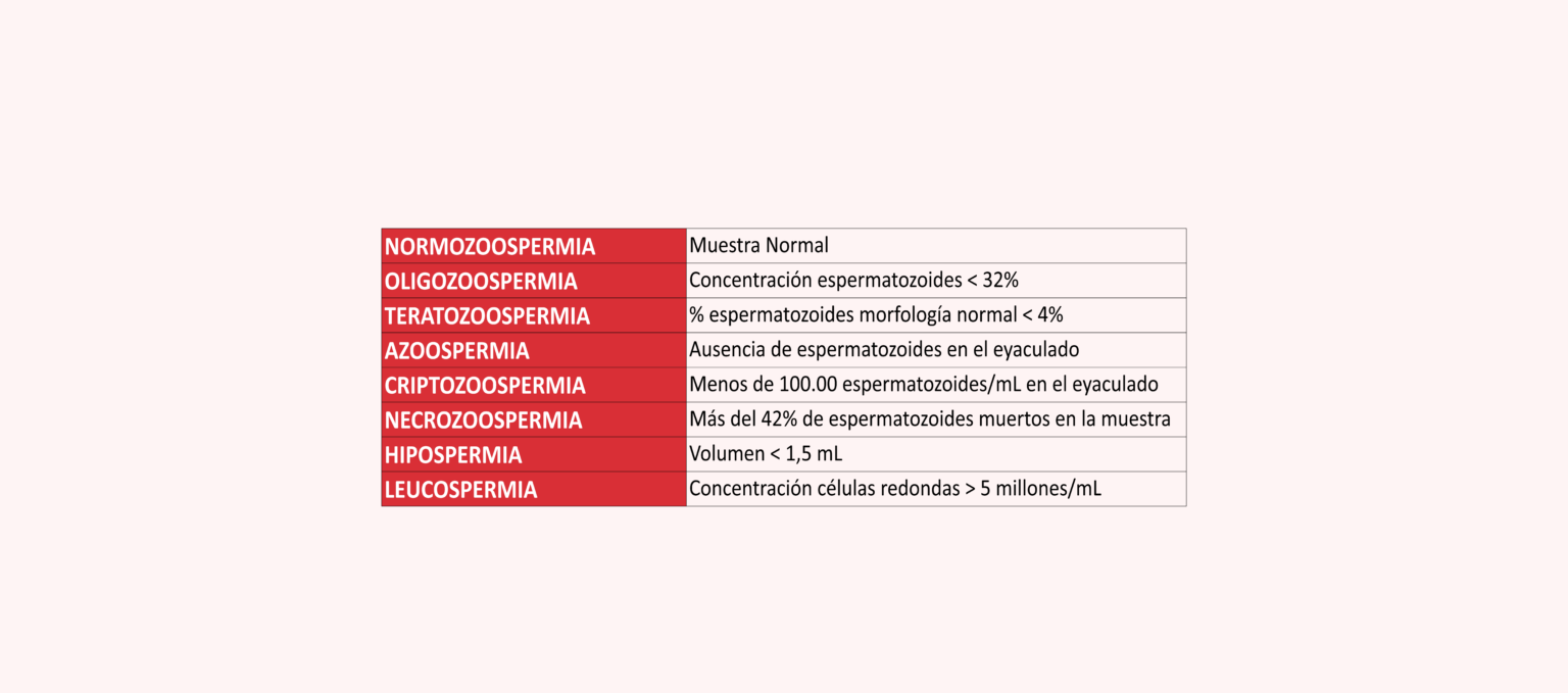 En qué consiste un seminograma completo y qué incluye