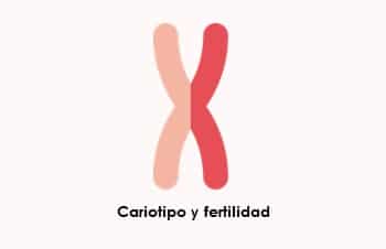 Estudio del cariotipo antes de iniciar un tratamiento de fertilidad