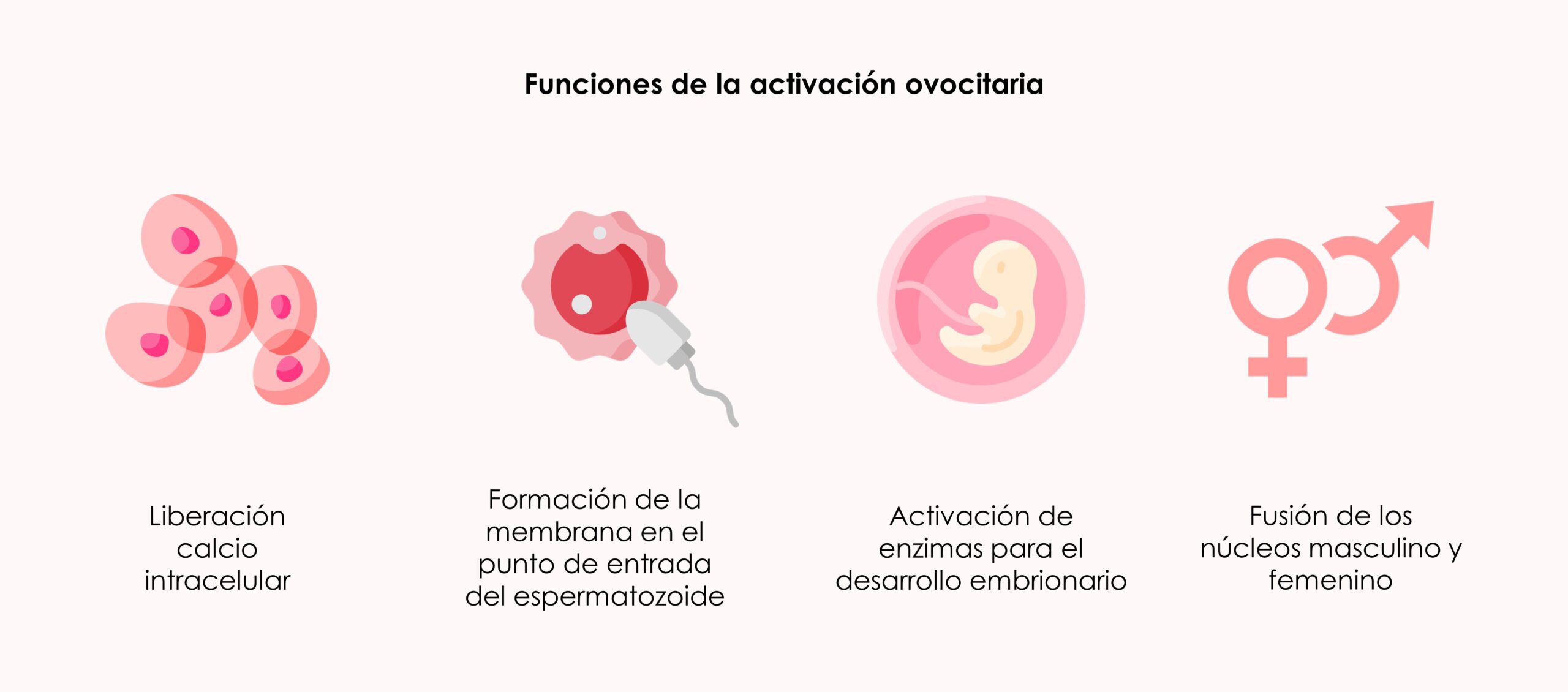 Activación ovocitaria y tasa de implantación