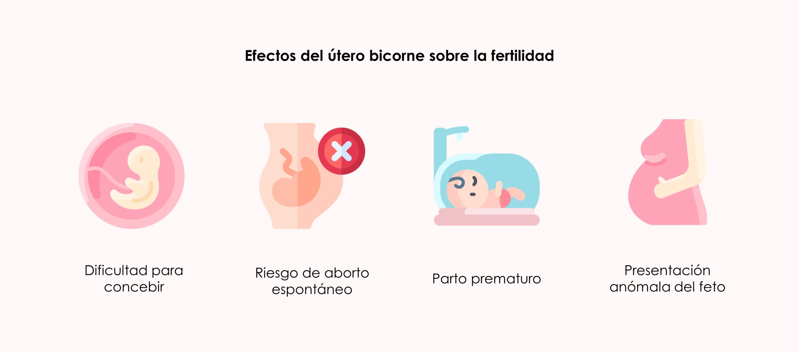 Útero bicorne, qué es y cómo influye en la fertilidad