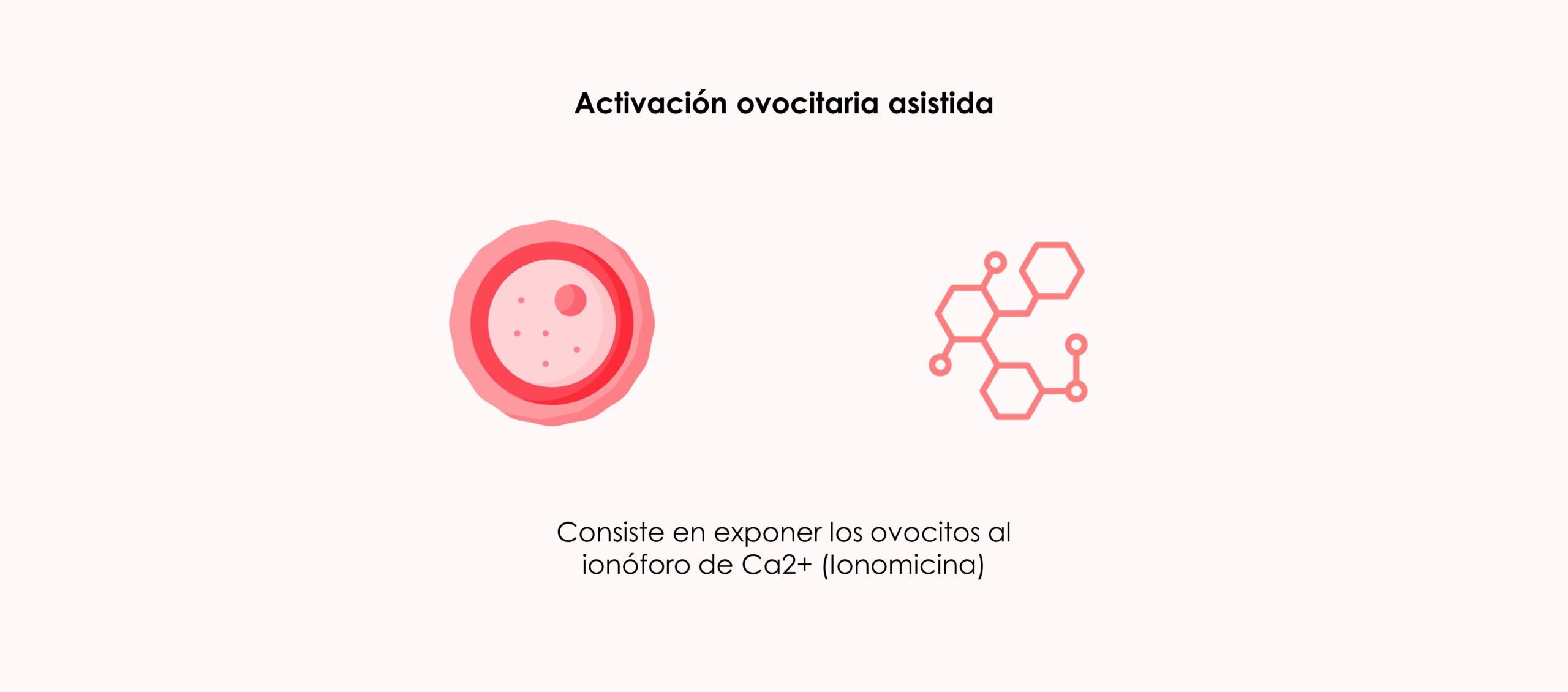 Activación ovocitaria y tasa de implantación