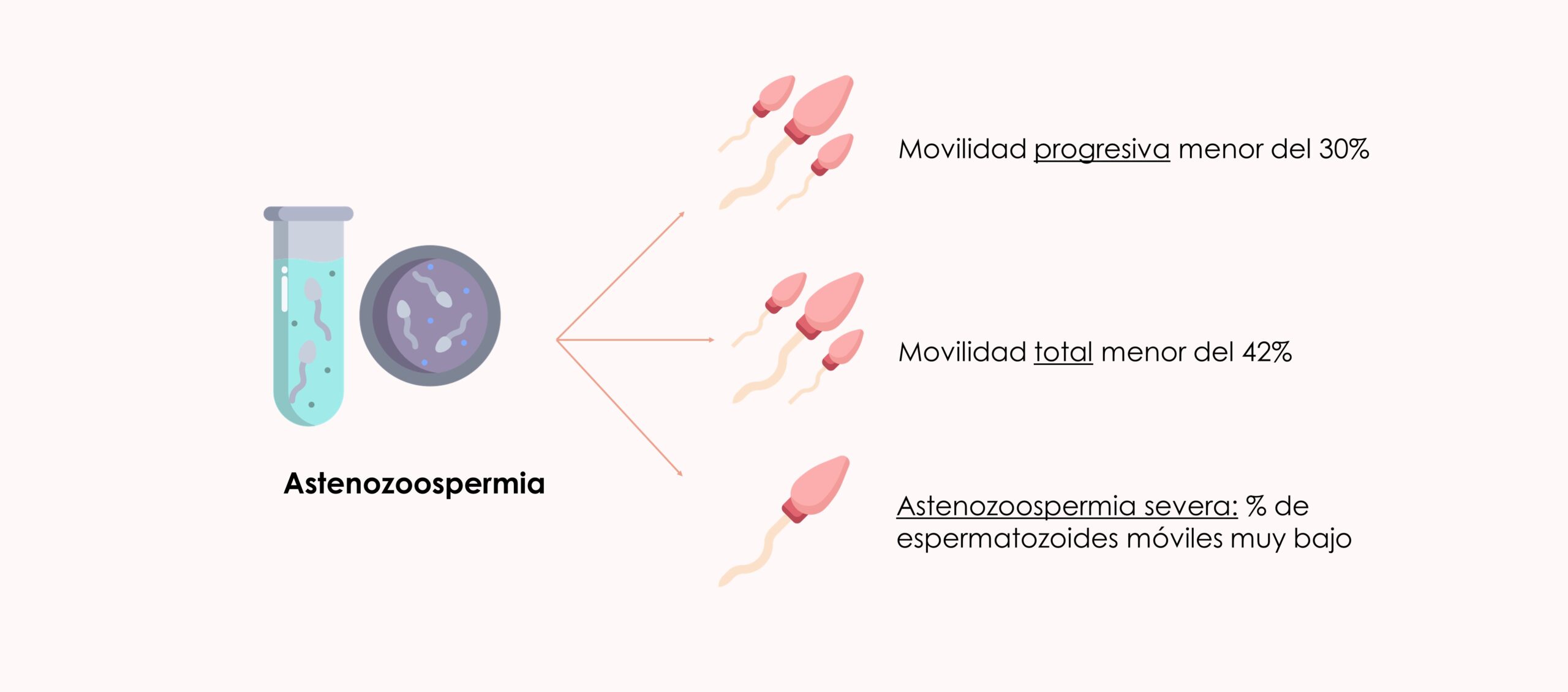 astenozoospermia y probabilidad de embarazo