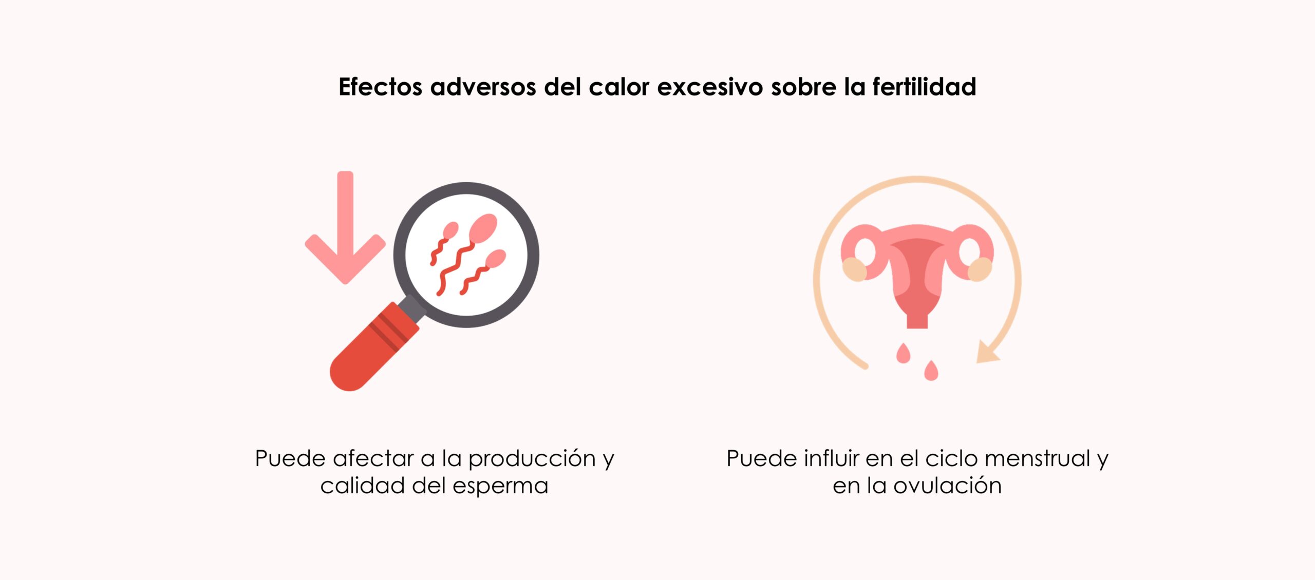 verano, fertilidad y reproducción asistida