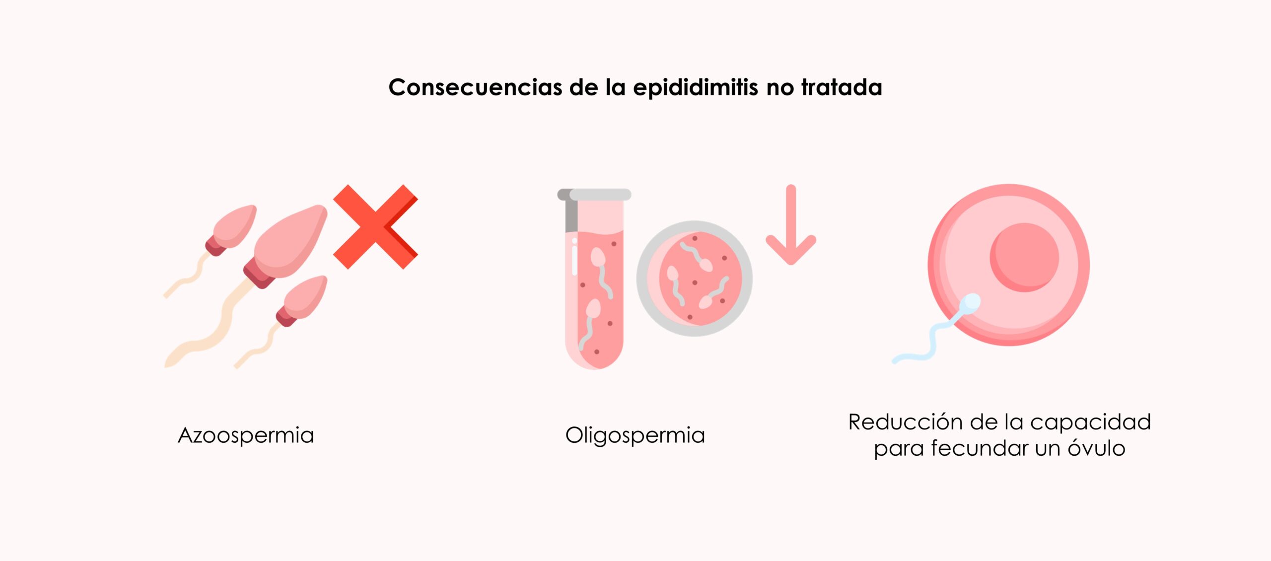 epididimitis y fertilidad masculina