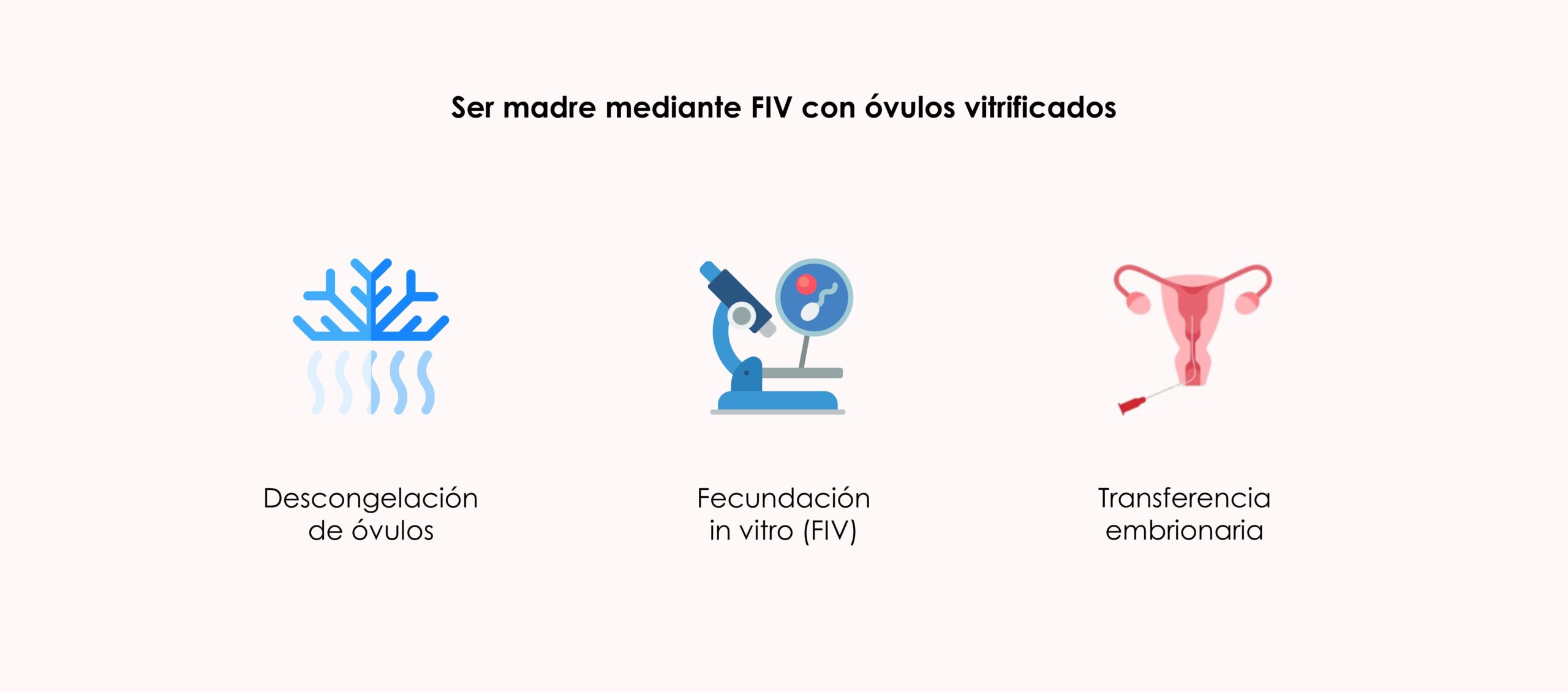 Si tienes óvulos congelados y quieres ser madre con ellos, puede realizar una fecundación in vitro