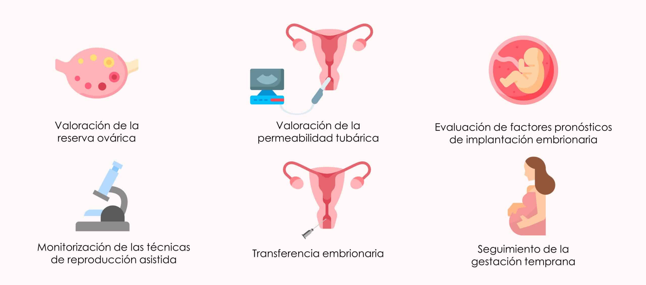 ¿Qué anomalías detecta una ecografía transvaginal?