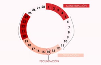 Cuáles son los días menos fértiles de una mujer