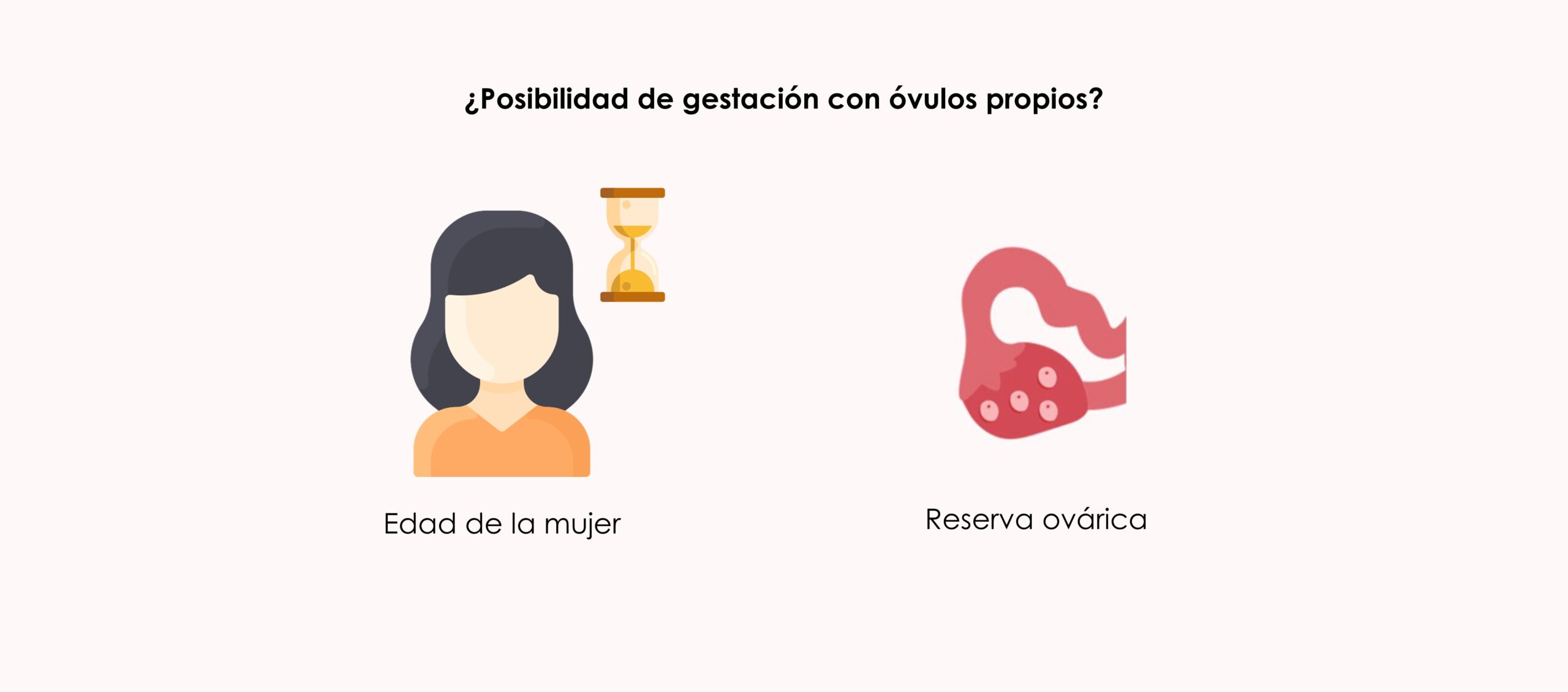 Factores fundamentales que condicionan una FIV con óvulos propios