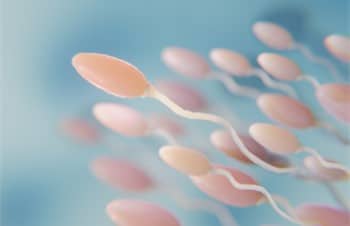 Consejos antes de una inseminación artificial