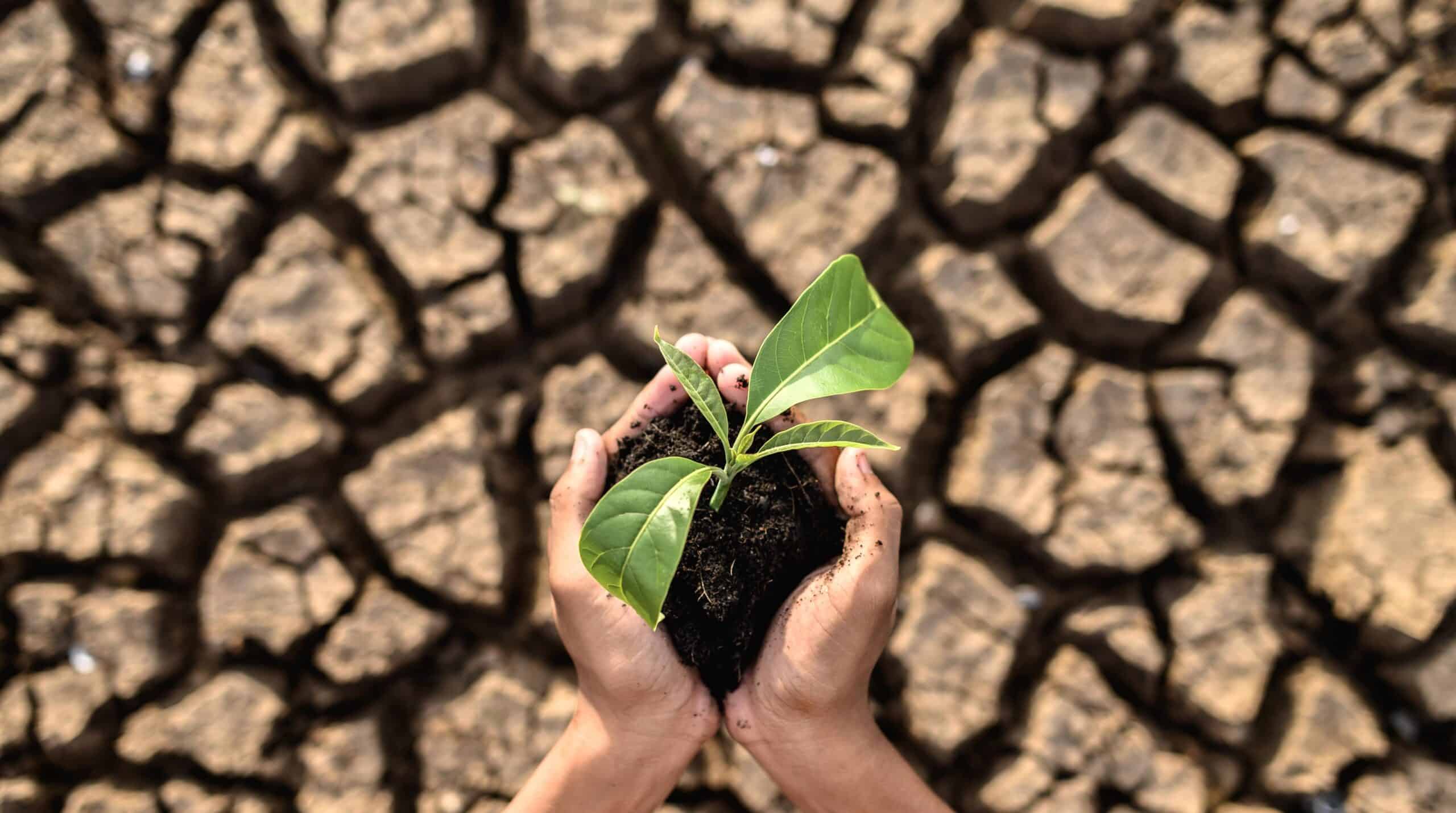 ¿Afecta el cambio climático a la fertilidad de mujeres y hombres?