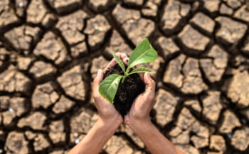 El cambio climático podría poner en riesgo la fertilidad a largo plazo